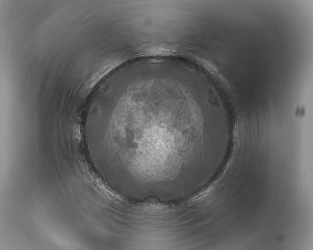 X0000112101209200908111409