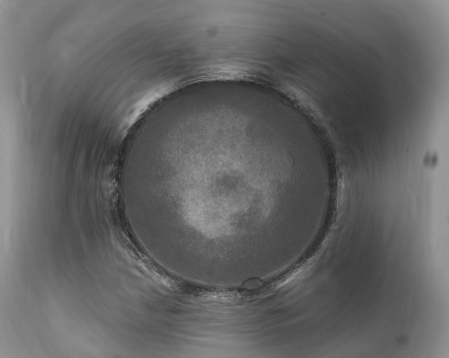 X0000112101210200908111409