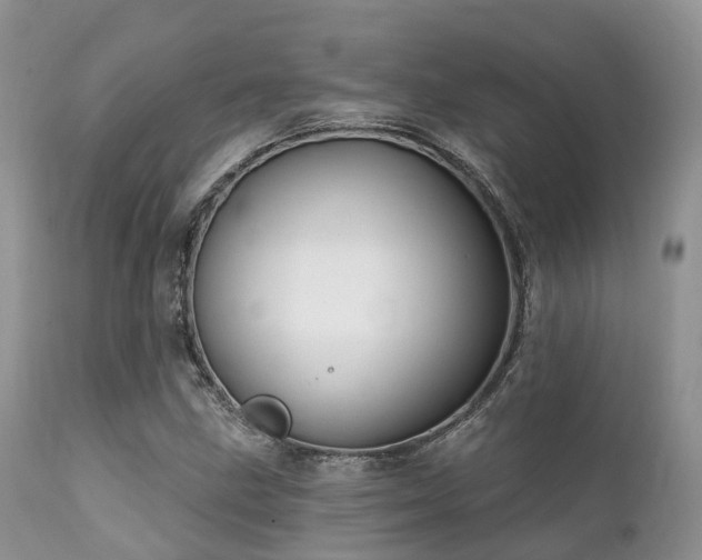 X0000112101211200908111409
