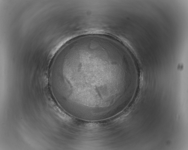 X0000112101212200908111409