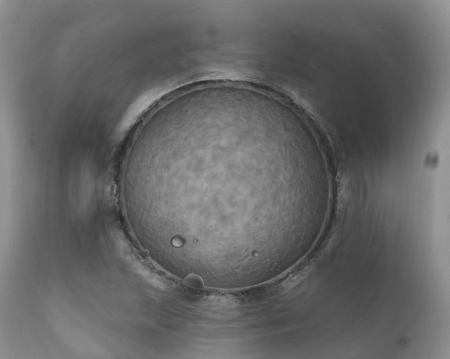 X0000112101215200908111409