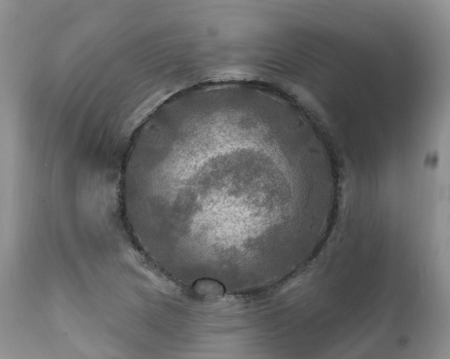 X0000112101217200908111409