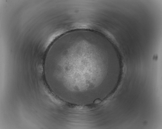 X0000112101218200908111409