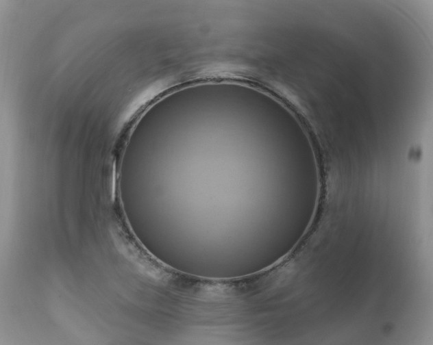 X0000112101219200908111409