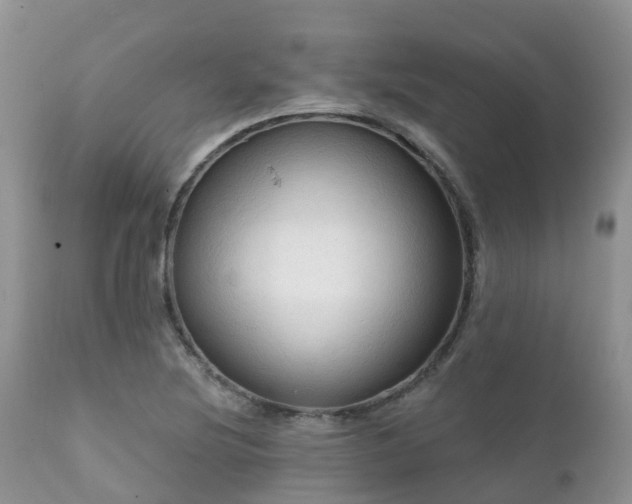 X0000112101220200908111409