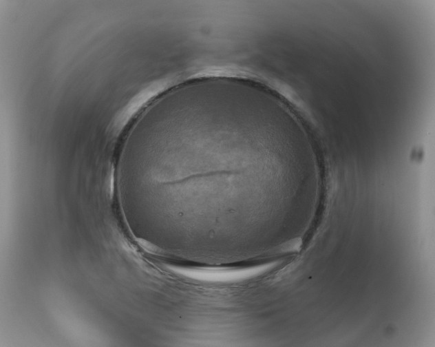 X0000112101221200908111409
