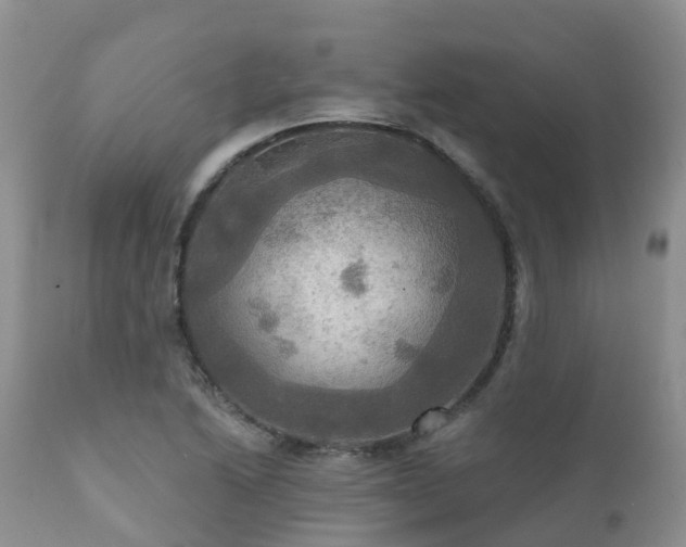 X0000112101222200908111409