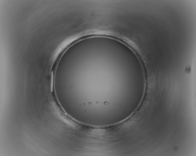 X0000112101223200908111409