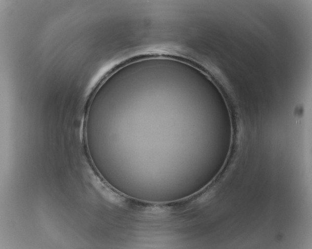 X0000112101224200908111409