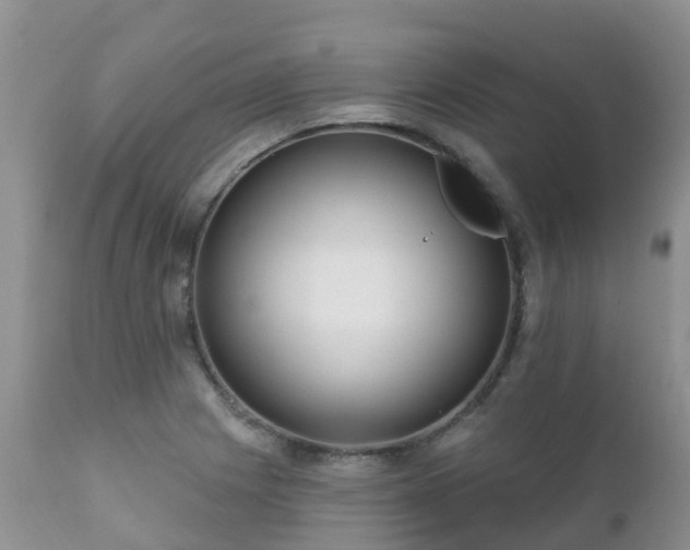 X0000112101225200908111409