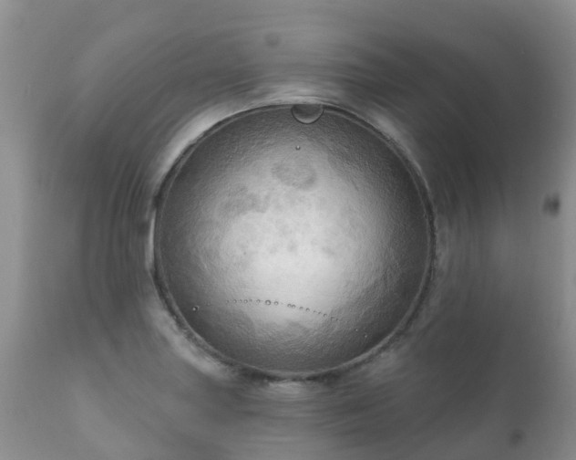X0000112101227200908111409