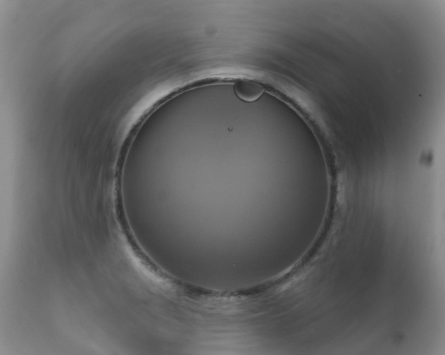 X0000112101229200908111410