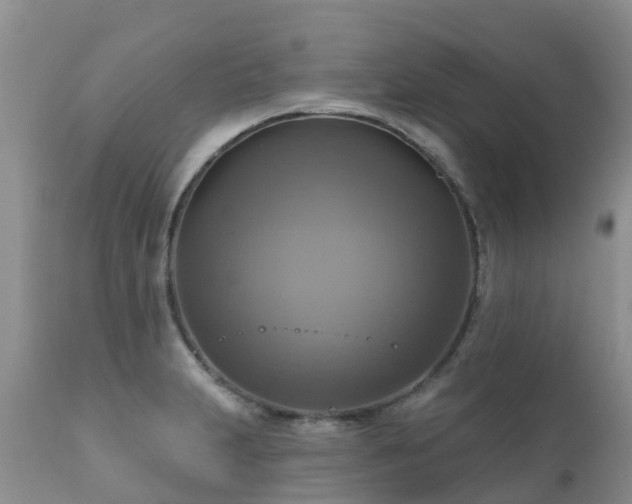 X0000112101231200908111410
