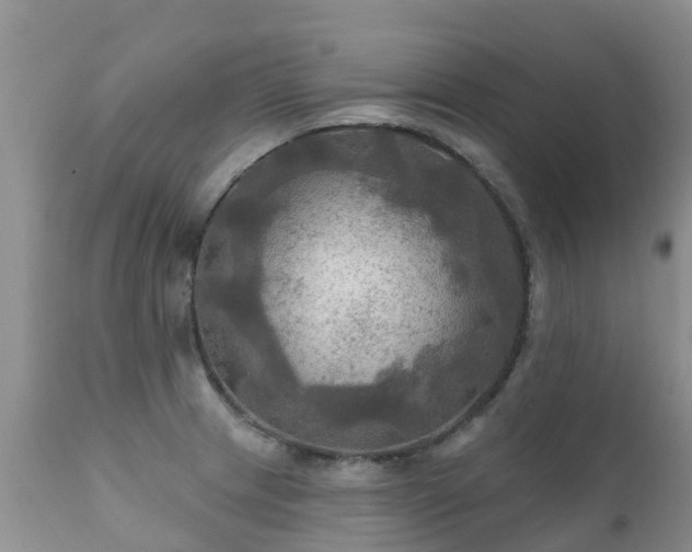 X0000112101233200908111410