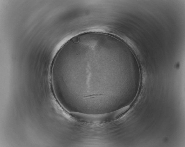 X0000112101240200908111410