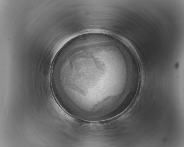 X0000112101244200908111410