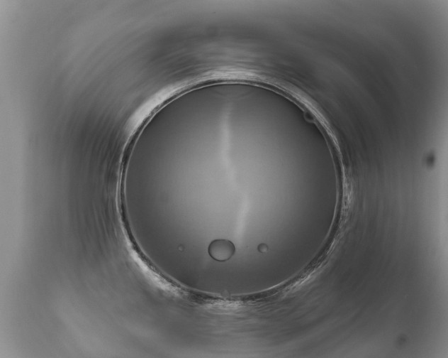 X0000112101245200908111410