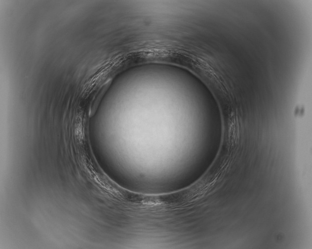 X0000112101250200908111409