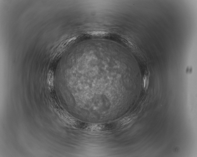 X0000112101251200908111409