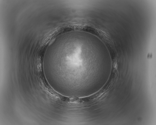X0000112101252200908111409