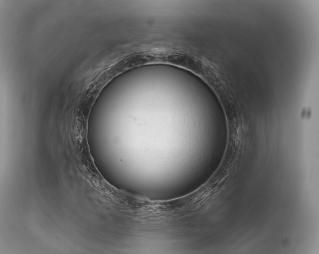 X0000112101253200908111409