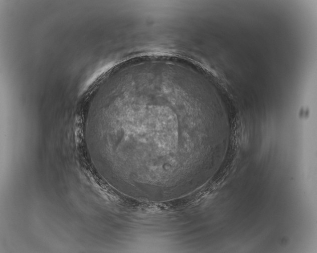 X0000112101255200908111409