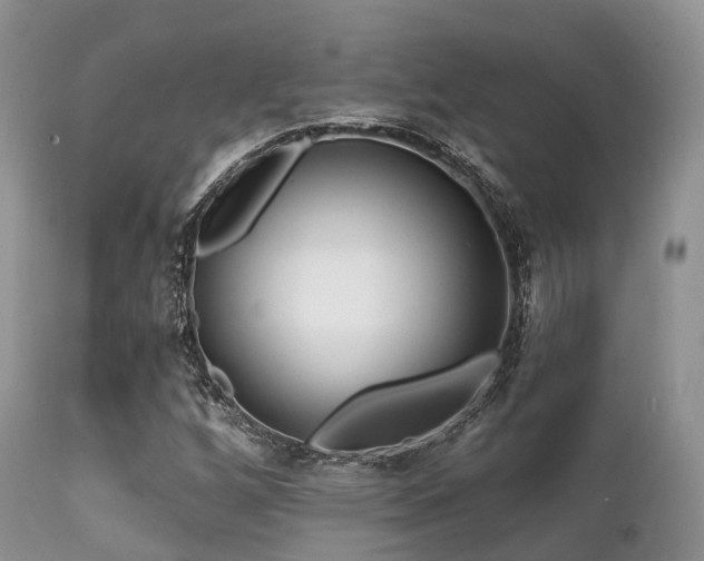 X0000112101256200908111409