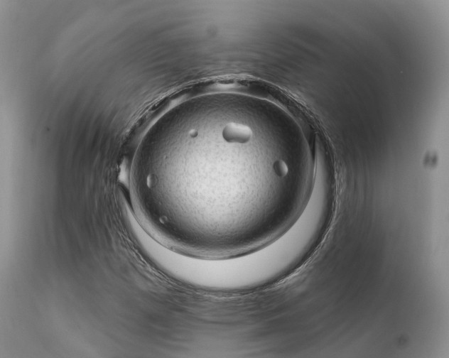 X0000112101257200908111409