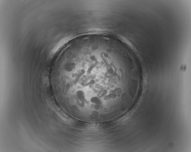 X0000112101259200908111409