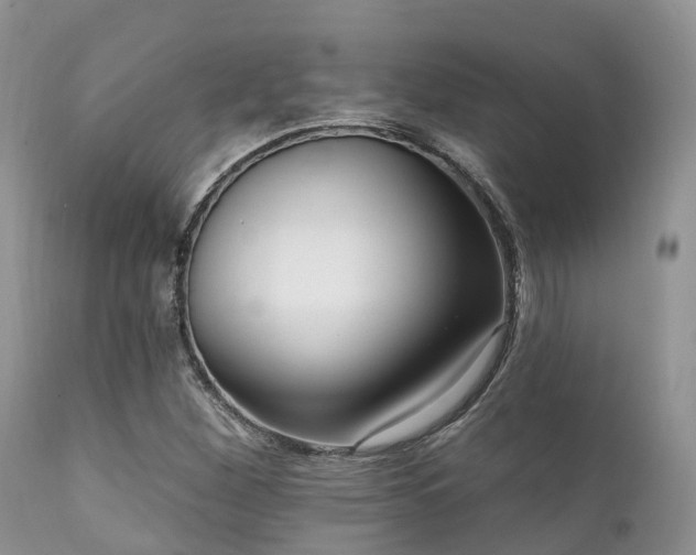 X0000112101260200908111409