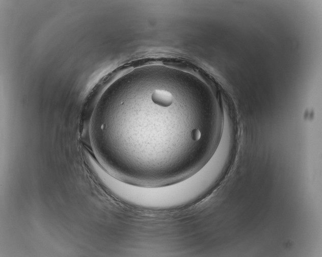 X0000112101261200908111409