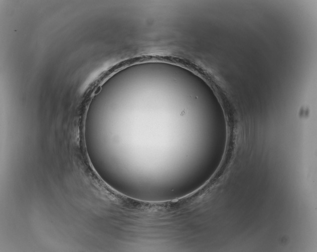 X0000112101262200908111409