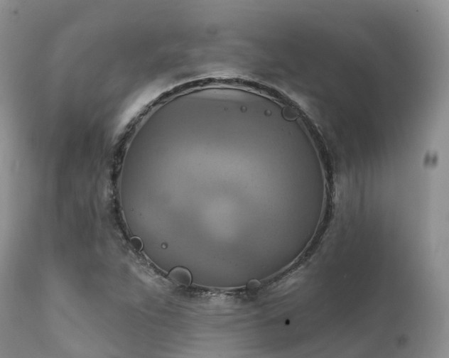 X0000112101263200908111409
