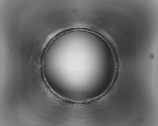 X0000112101264200908111409