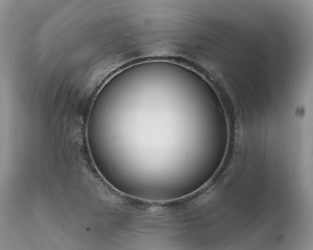 X0000112101265200908111409