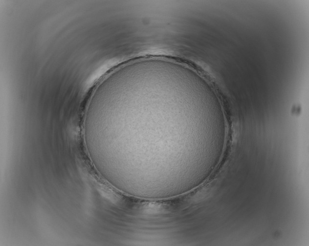 X0000112101266200908111409