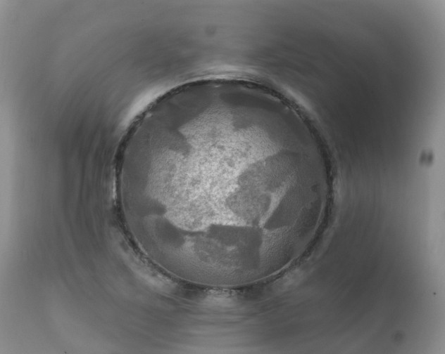 X0000112101267200908111409