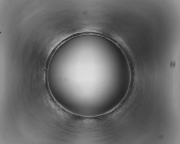 X0000112101268200908111409