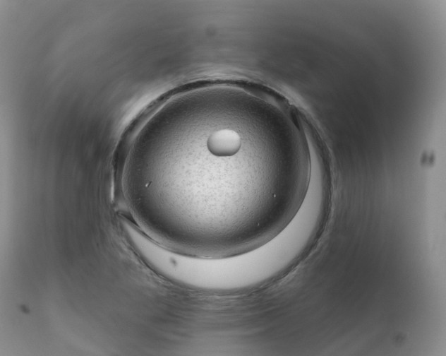 X0000112101269200908111409