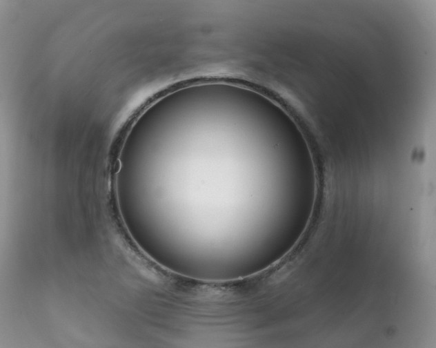 X0000112101270200908111409