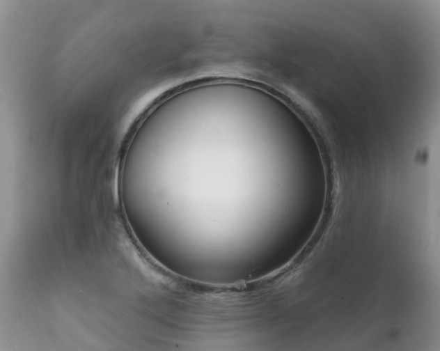 X0000112101272200908111409