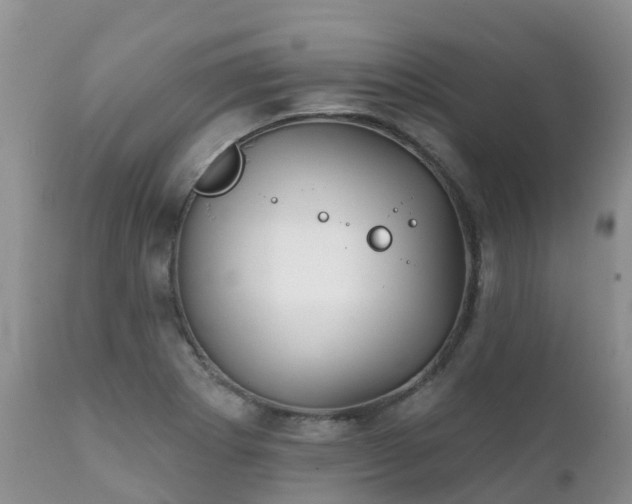 X0000112101273200908111409