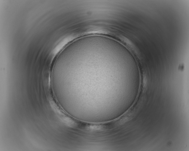 X0000112101274200908111409