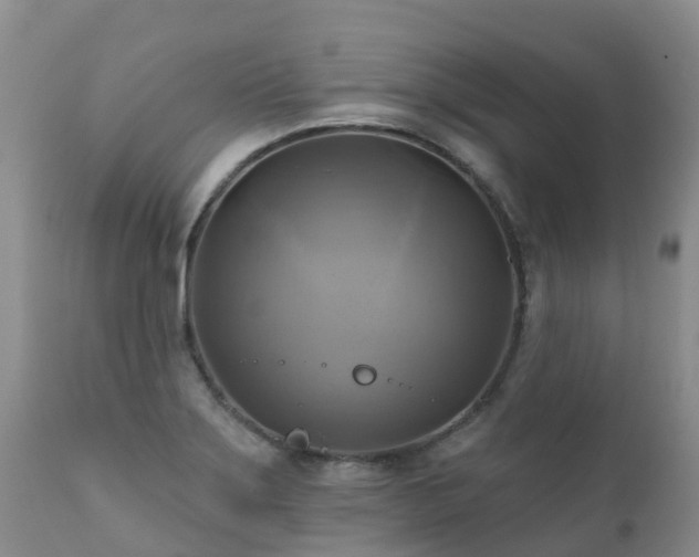 X0000112101275200908111409