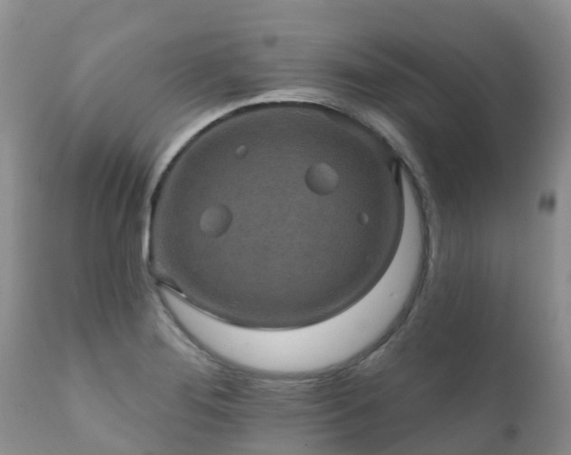 X0000112101276200908111409