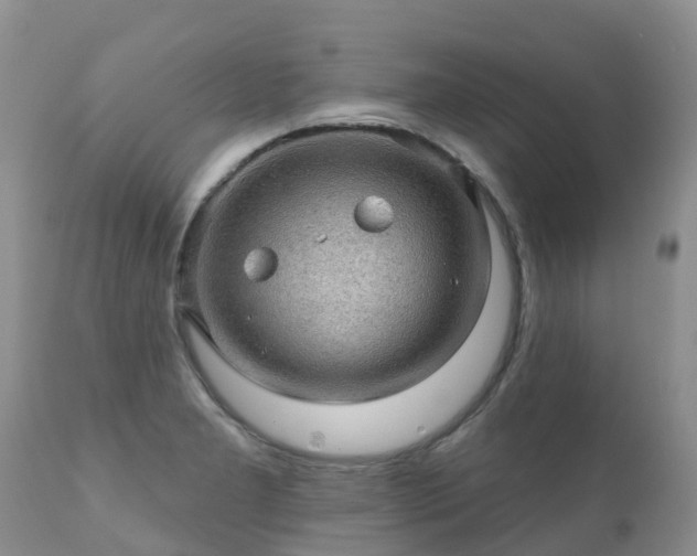 X0000112101277200908111409