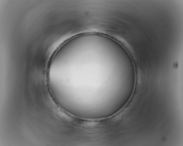 X0000112101278200908111409