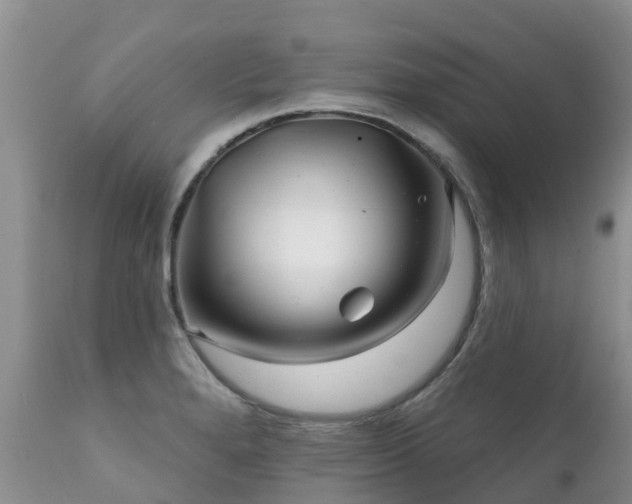 X0000112101280200908111409