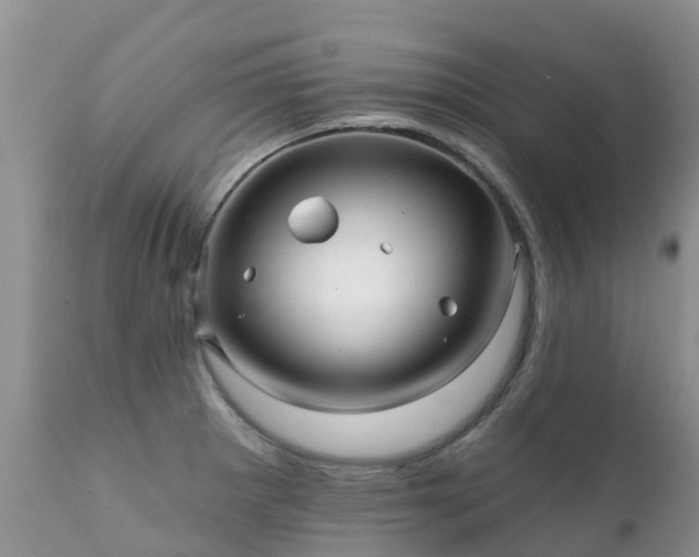 X0000112101281200908111409