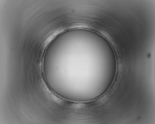 X0000112101282200908111408
